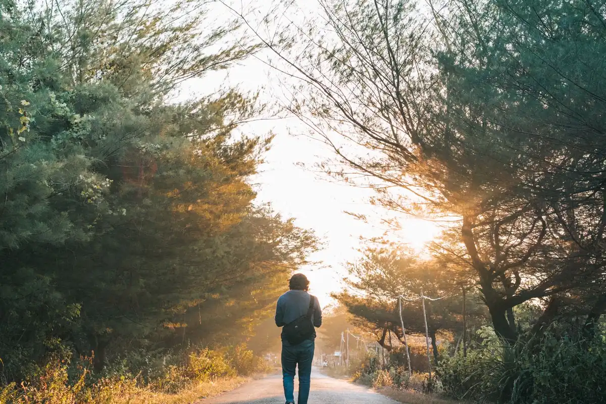 Person walking down a sunlit tree-lined road, suggesting a new career path
