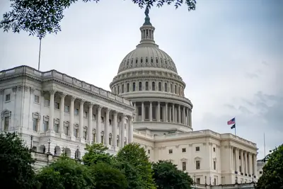 The U.S. Capitol building in Washington, D.C., framed by trees